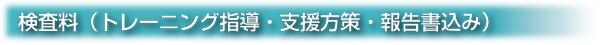 検査料（トレーニング指導・支援方策・報告書込み）